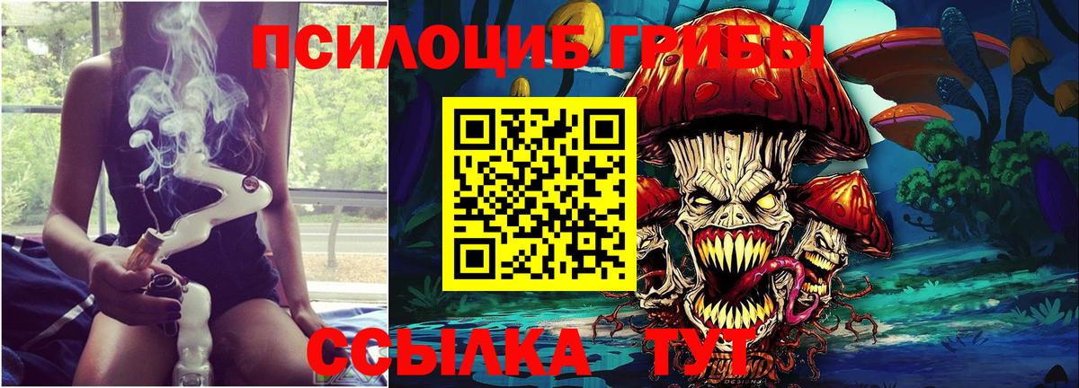 Псилоцибиновые грибы мицелий Снежинск
